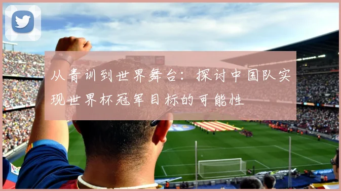 从青训到世界舞台：探讨中国队实现世界杯冠军目标的可能性