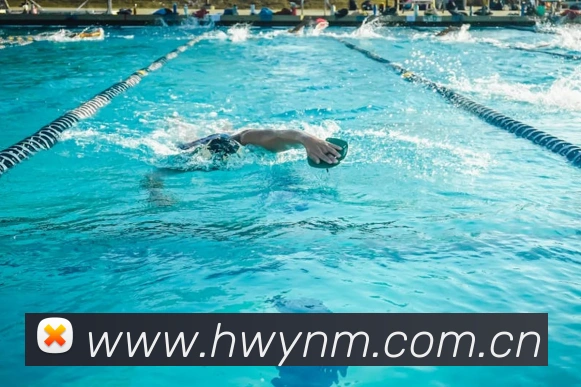 爱游戏入口发展历程